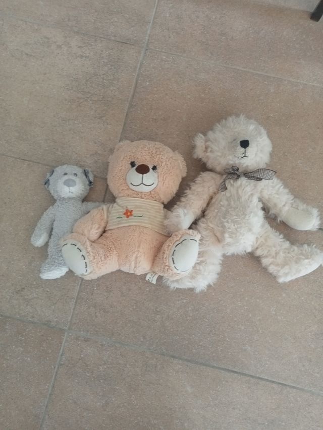 Osos peluche