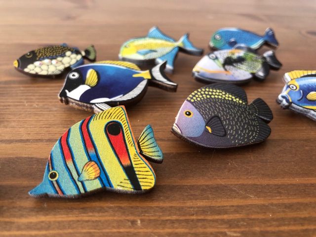 Lote 10 chapas de peces y loros