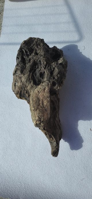 Madeira para terrario