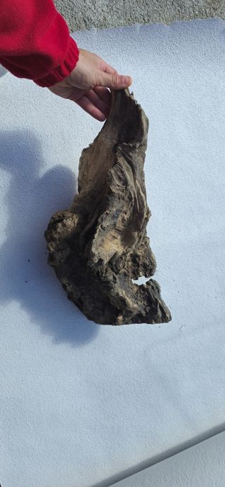 Madeira para terrario