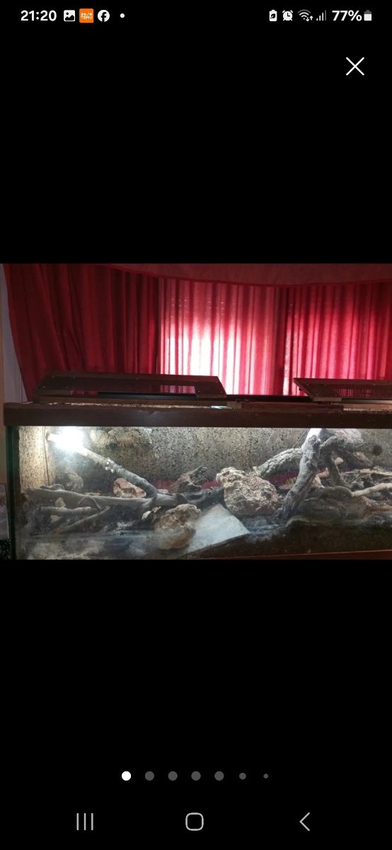 TERRARIO O ACUATERRARIO ,CASI REGALADO !!