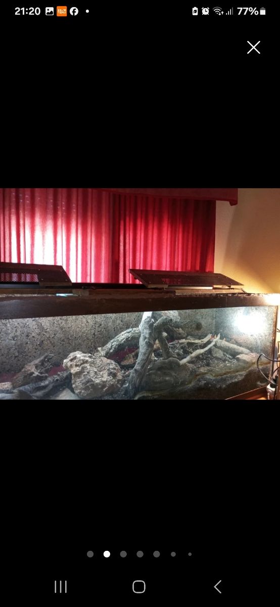 TERRARIO O ACUATERRARIO ,CASI REGALADO !!