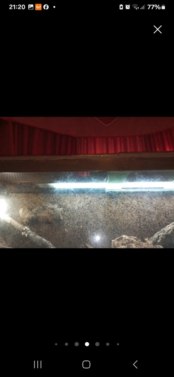 TERRARIO O ACUATERRARIO ,CASI REGALADO !!