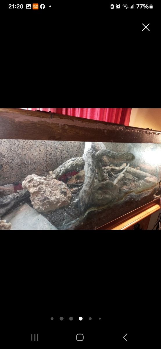 TERRARIO O ACUATERRARIO ,CASI REGALADO !!