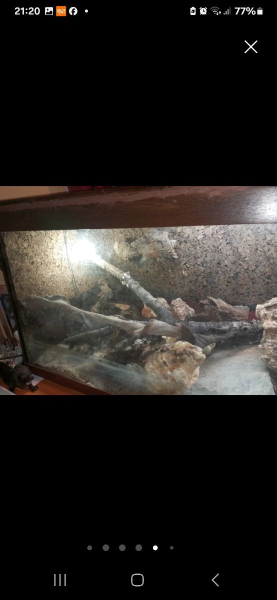 TERRARIO O ACUATERRARIO ,CASI REGALADO !!