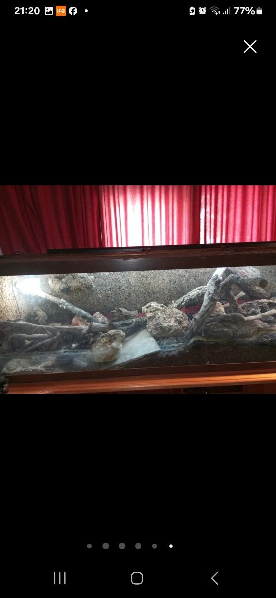 TERRARIO O ACUATERRARIO ,CASI REGALADO !!