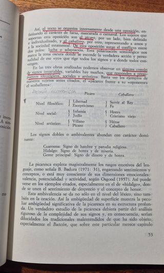 Semiolingüística de la novela picaresca.