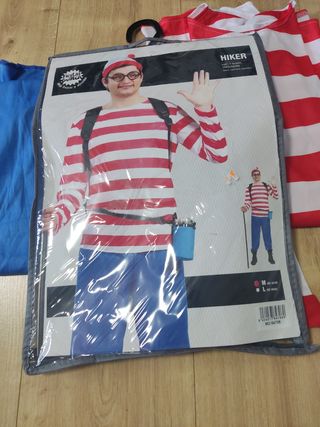 Disfraz Wally adulto 