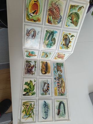 Album de cromos vida y color completo