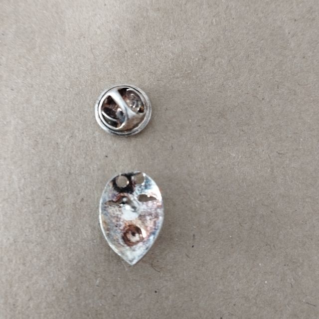 Insignia pin valencia