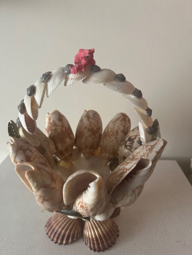 cesta conchas artesanal