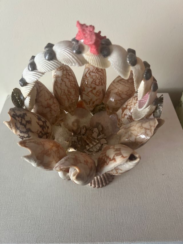 cesta conchas artesanal