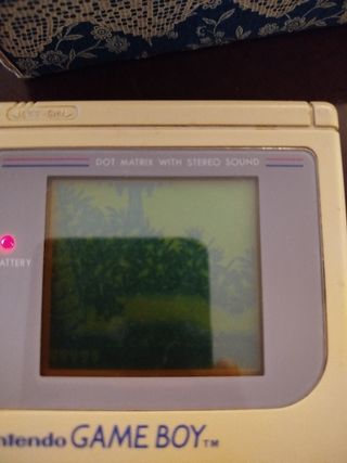 Juego Donkey Kong Land Gameboy