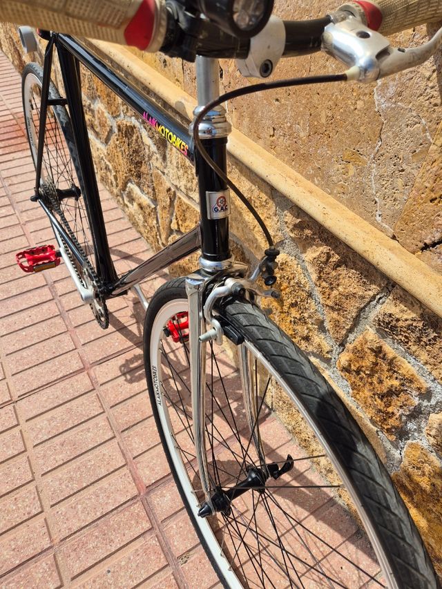 Bicicleta CAG vintage