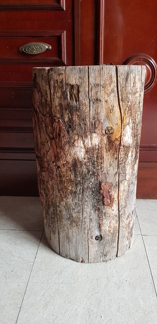 Tronco madera