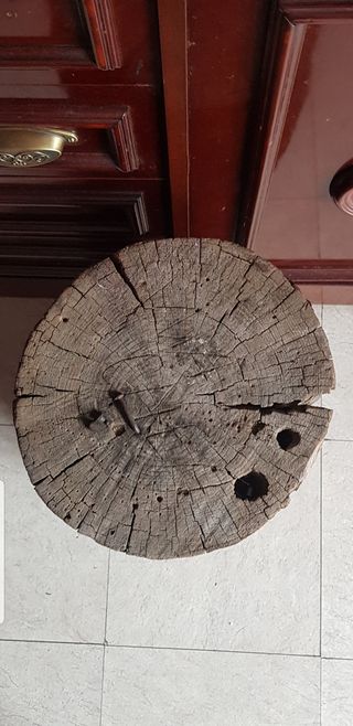 Tronco madera