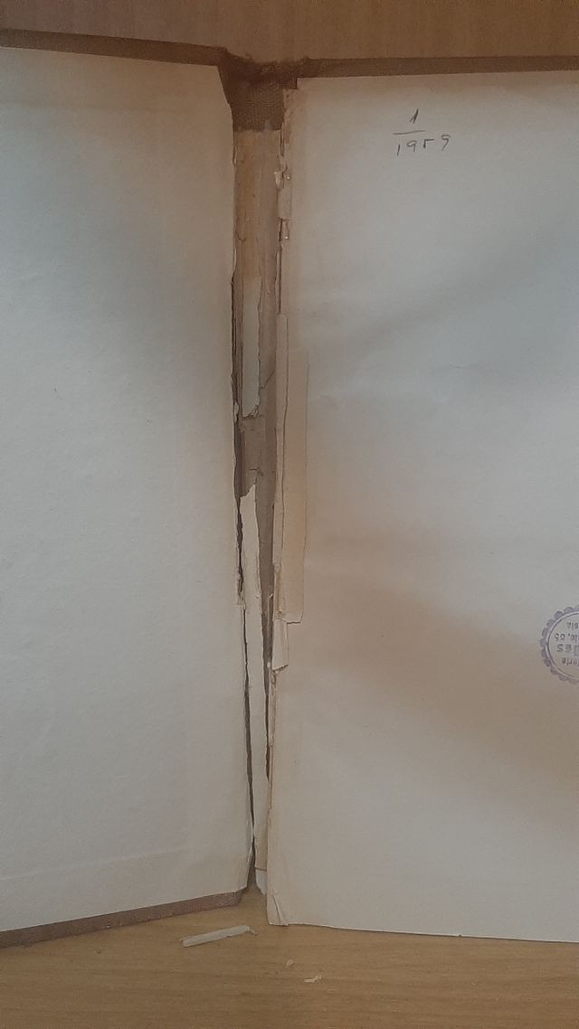 LIBRO ANTIGUO LOS OJOS DEL HERMANO ETERNO 1953