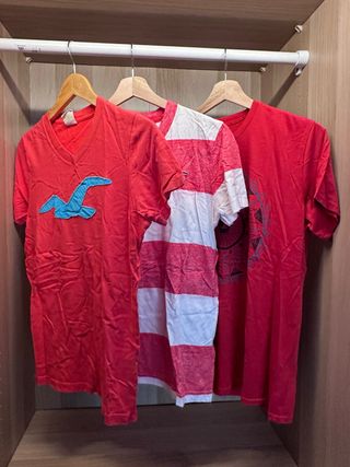 CAMISETAS HOLLISTER