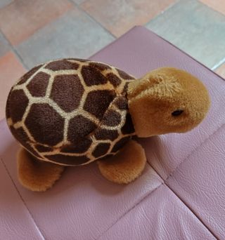 Peluche tartaruga nuovo