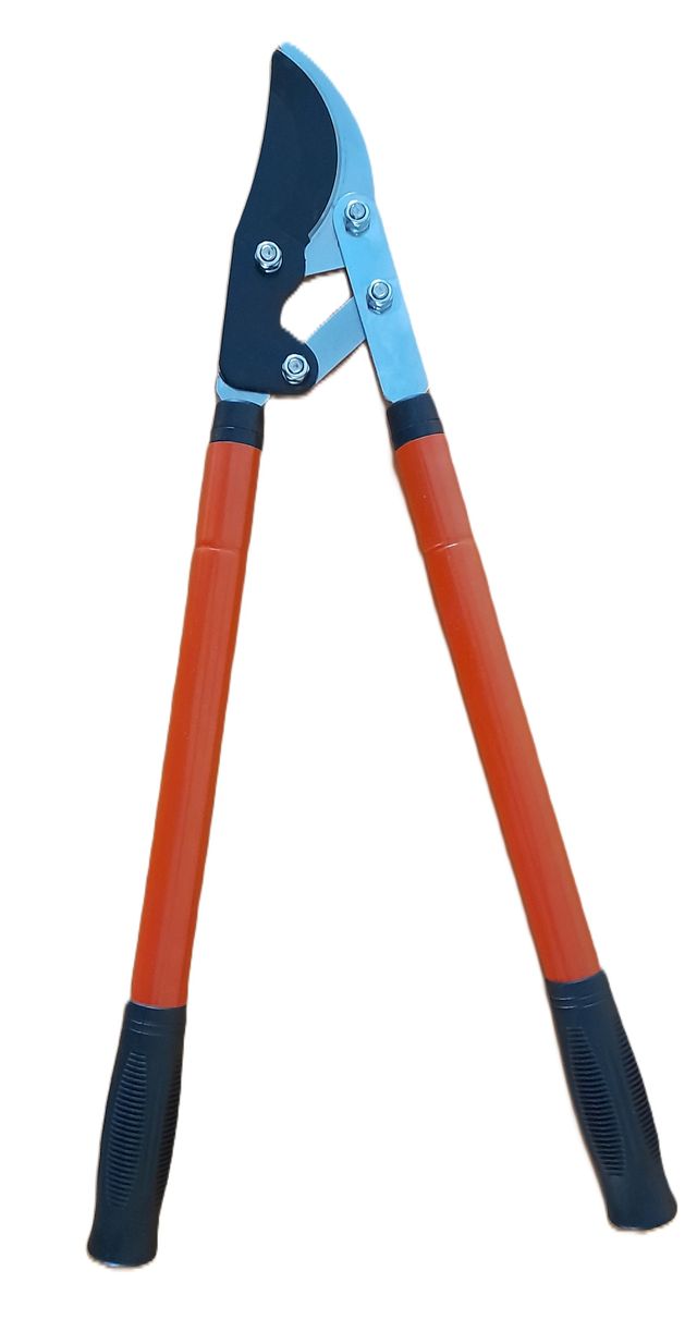 Troncarami Telescopica Cesoia per Potatura Forbice