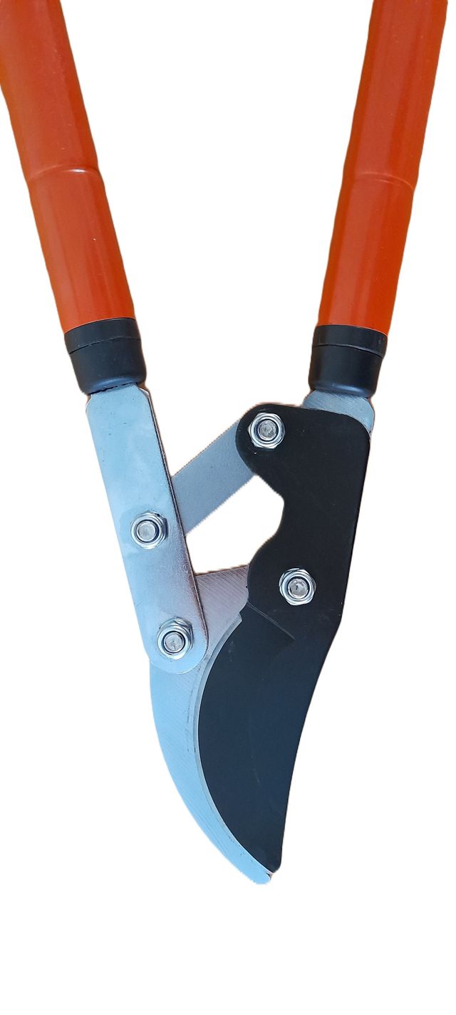 Troncarami Telescopica Cesoia per Potatura Forbice