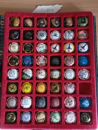 621 Chapas de Cava por 296,70€ precio negociable