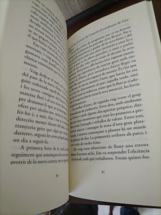 El misteri de les quatre punyalades: Premi Columna Jove