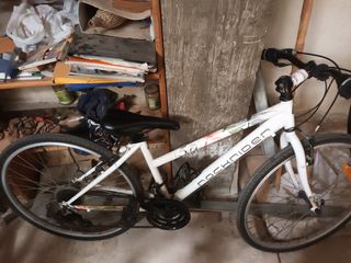 Bici de paseo