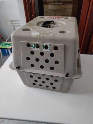 TRANSPORTING PERROS PEQUEÑOS