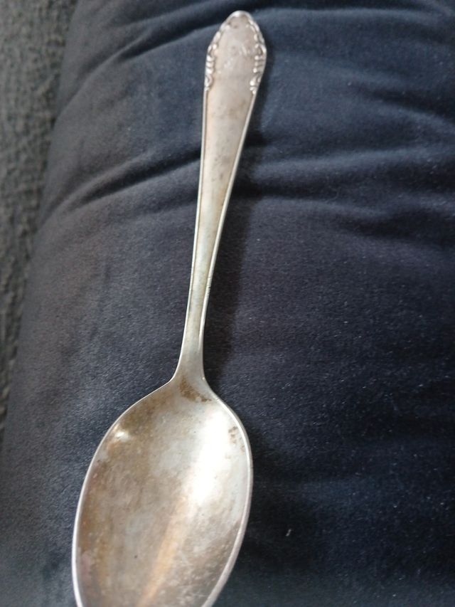 Cocharad de plata meneses