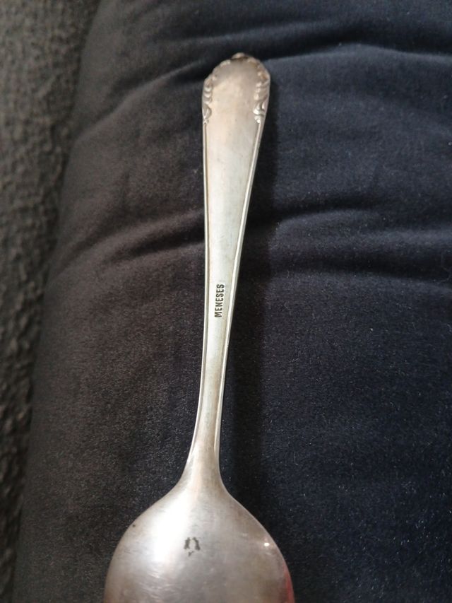 Cocharad de plata meneses