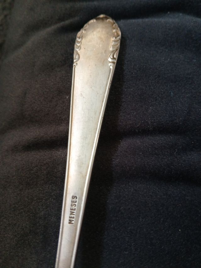 Cocharad de plata meneses