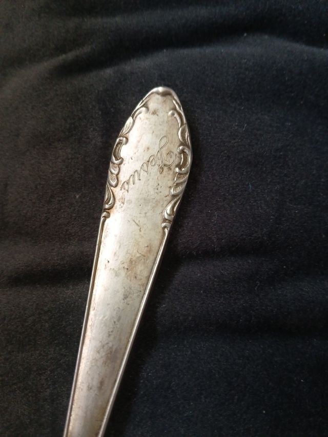 Cocharad de plata meneses