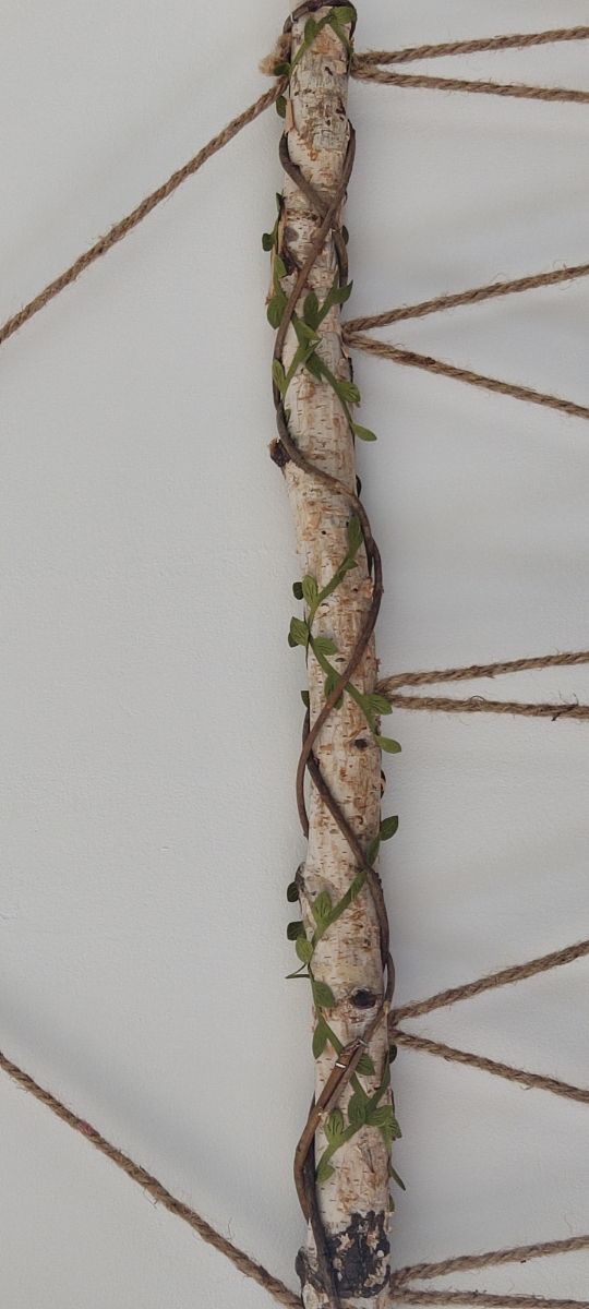 Original tapiz porta fotos con marcos