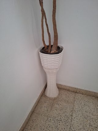 Macetero