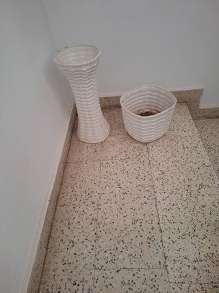 Macetero
