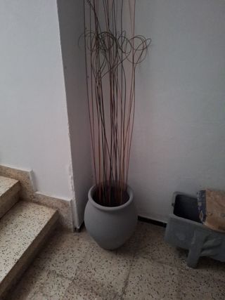 Macetero 