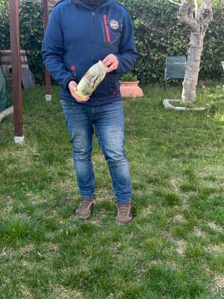 ANTICO VASETTO CRUCHE - PROVENZA FRANCESE DEL XVIII SECOLO