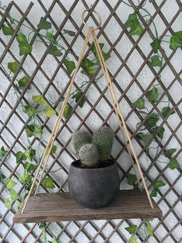 Estante Flotante Columpio de cuerda