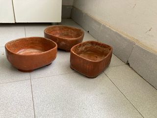 Macetas para bonsai