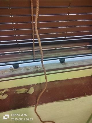 Servicio de limpieza, experiencia en fondeos.