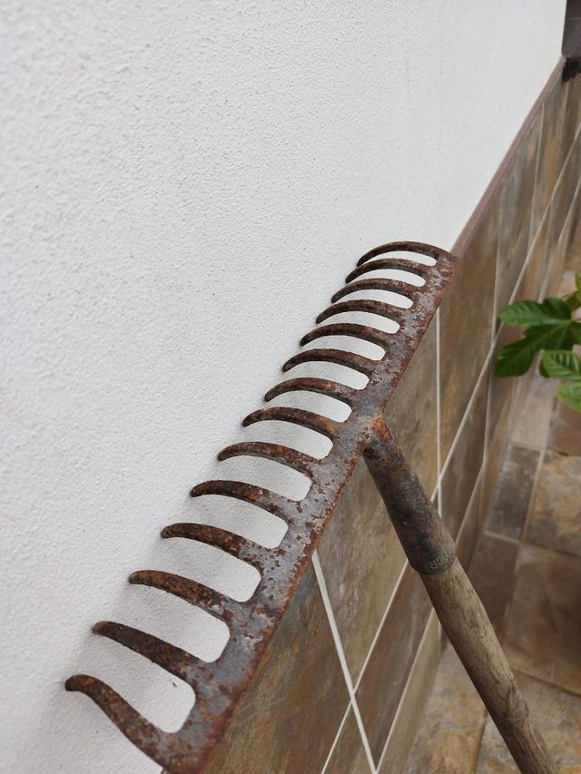 Rastrillo Antiguo grande