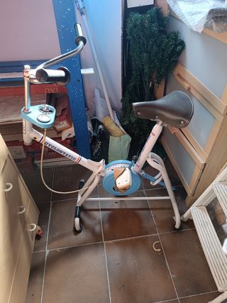 Bicicleta estática antigua 