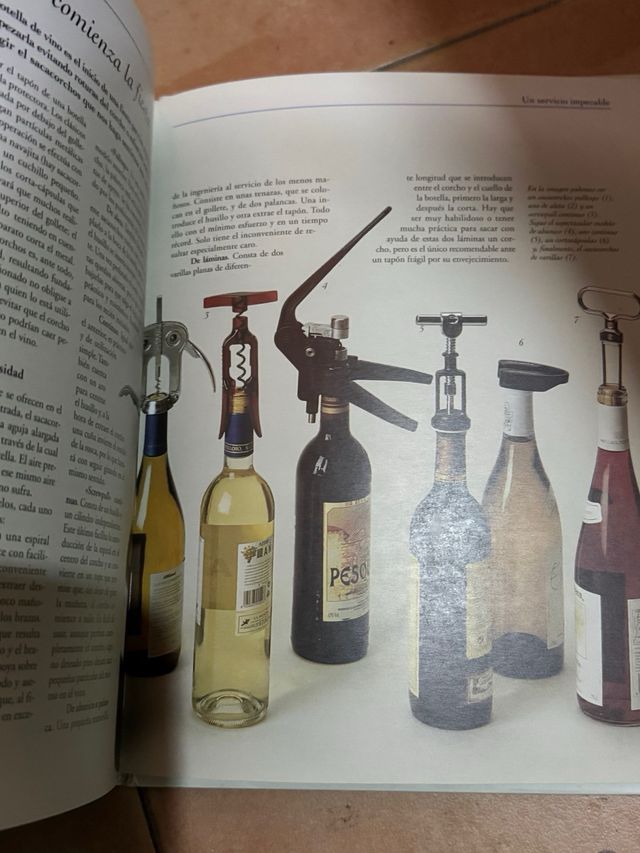 Libro saber de vinos