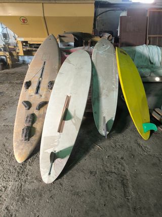 Tavole da windsurf