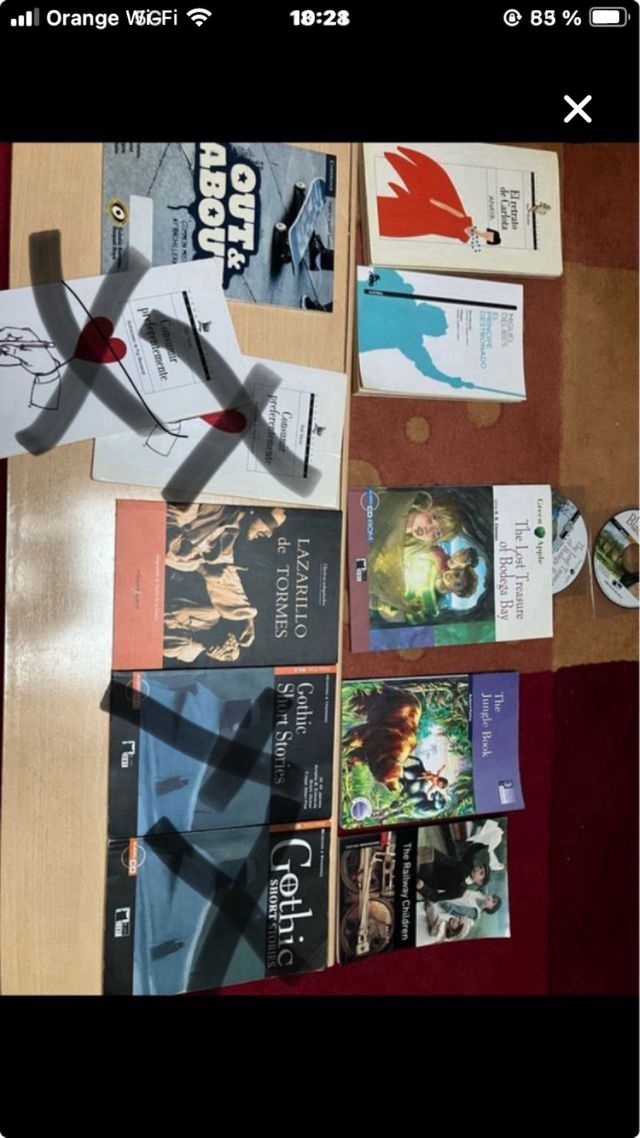 Lote de Libros de lectura