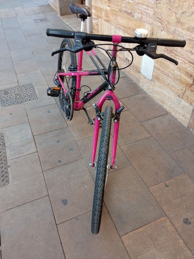 Bicicletta MTB americana