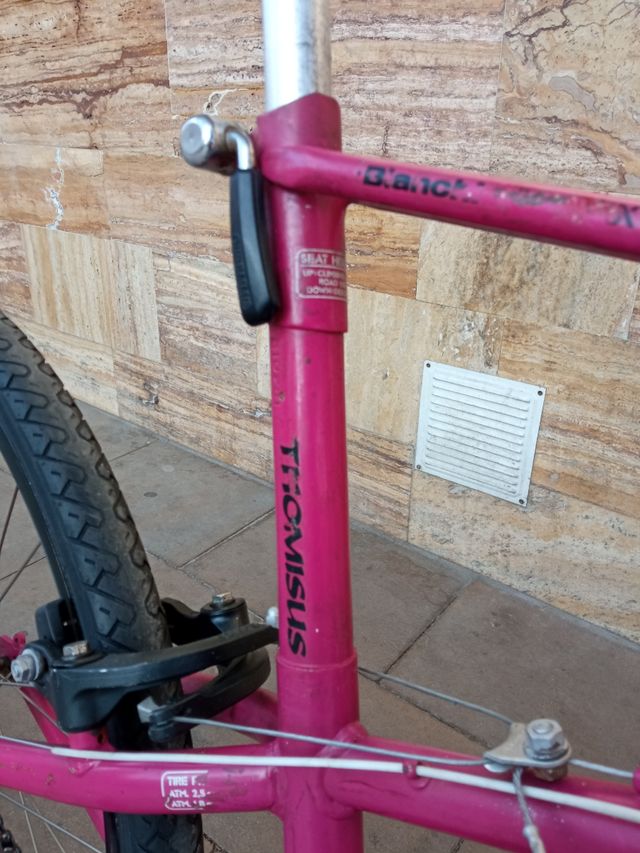 Bicicletta MTB americana