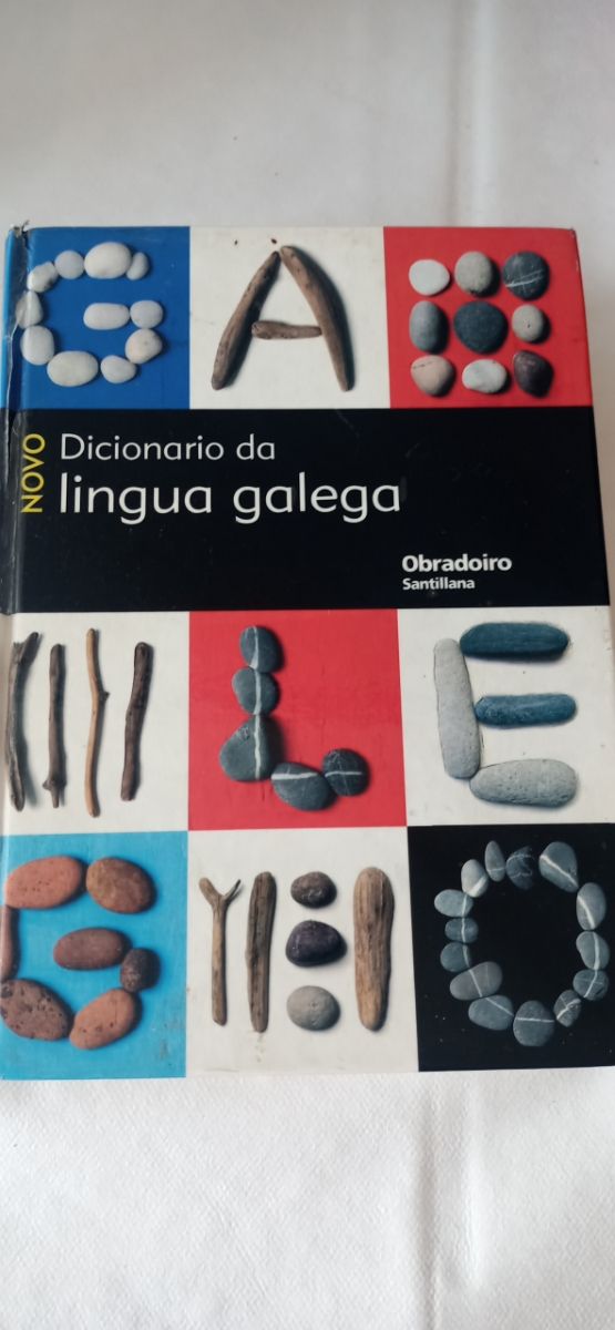 DICCIONARIO DA LINGUA GALEGA GALLEGO OBRADOIRO (Galician Edition)