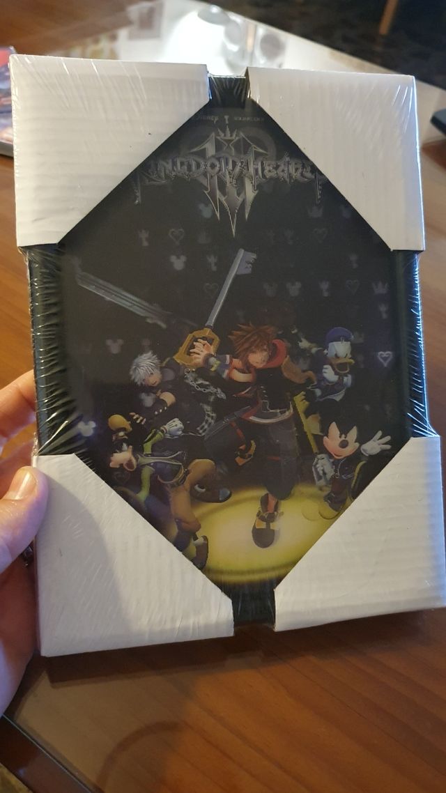 Cuadro Disney Kingdom Hearts A5 3D